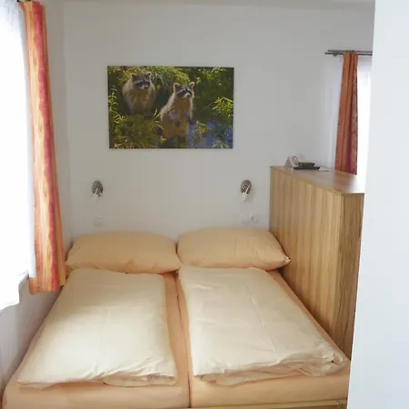Ski-hans 3* Planneralm