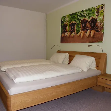 Ski-hans Aparthotel 3*