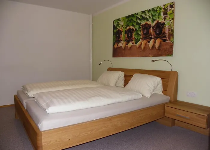 Ski-hans Aparthotel 3*